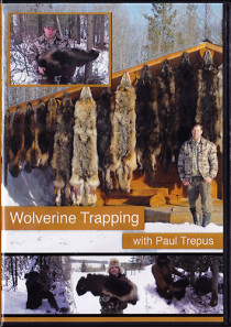 Wolverine Trapping DVD