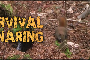 Survival Snaring Video Released