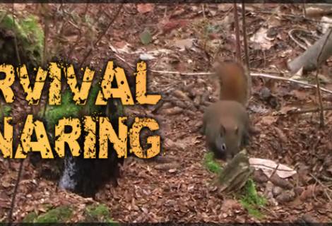 Survival Snaring Video Released