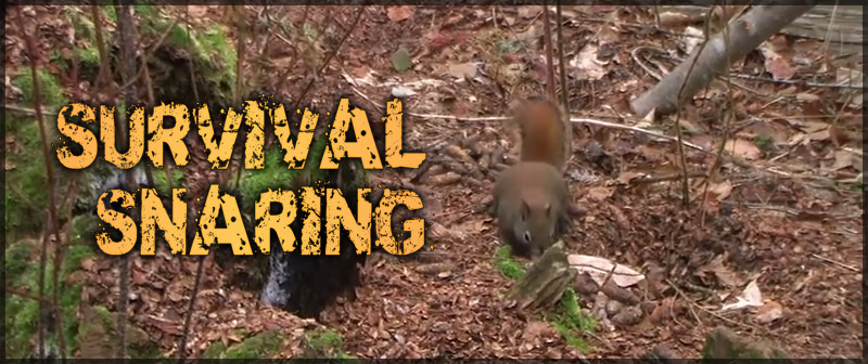 Survival Snaring Training DVD