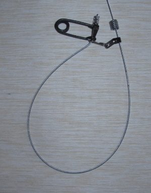 1/16 Coyote/Fox Snare with Shock Lock - 12