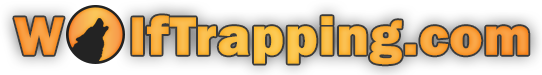 wtlogo