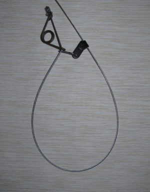 Lynx Fox Snare