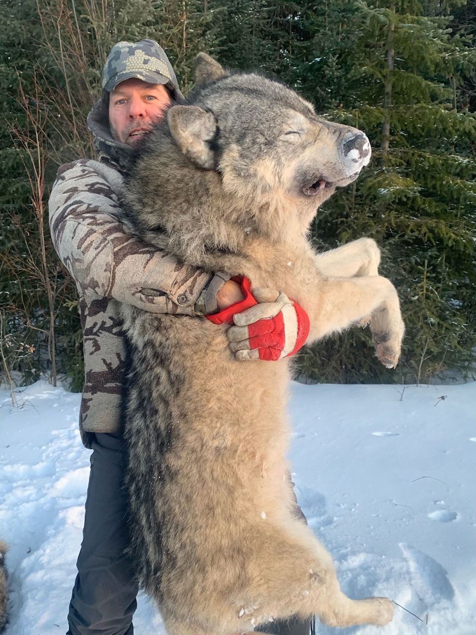 2022-wolf2 Paul Trepus with Wolf