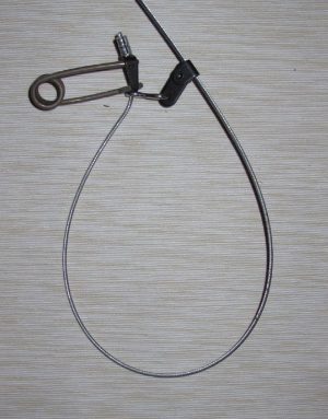 Coyote Wolf Cam Lock Snare
