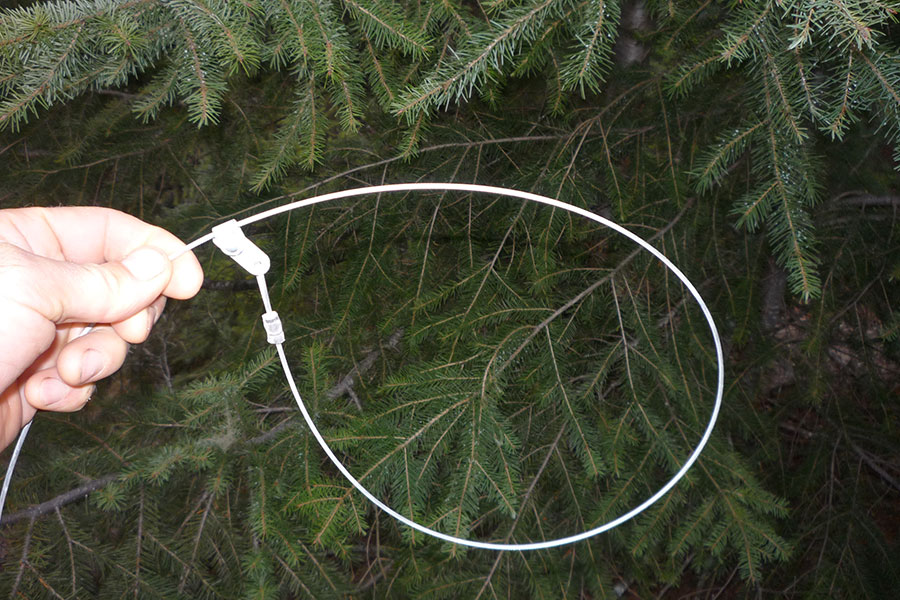 Survival Snaring Video Released